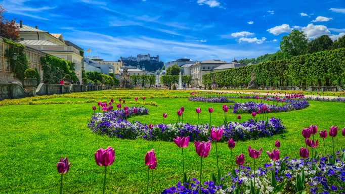 MIrabellgarten